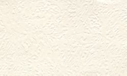 Wallpaper