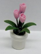 Pink Tulip