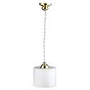 HW2834 Modern Single Hanging Lamp by Houseworks